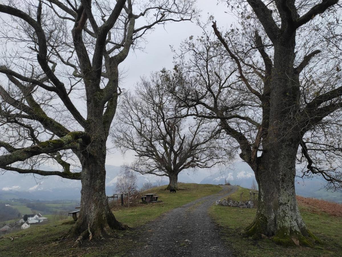 Gite Des 3 Arbres Aramits Buitenkant foto